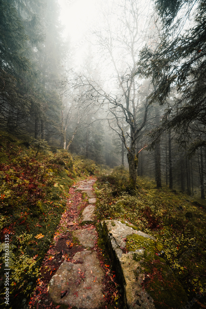 Liptov region hiking in jasna in Low Tatras mountains landscape, slovakia.