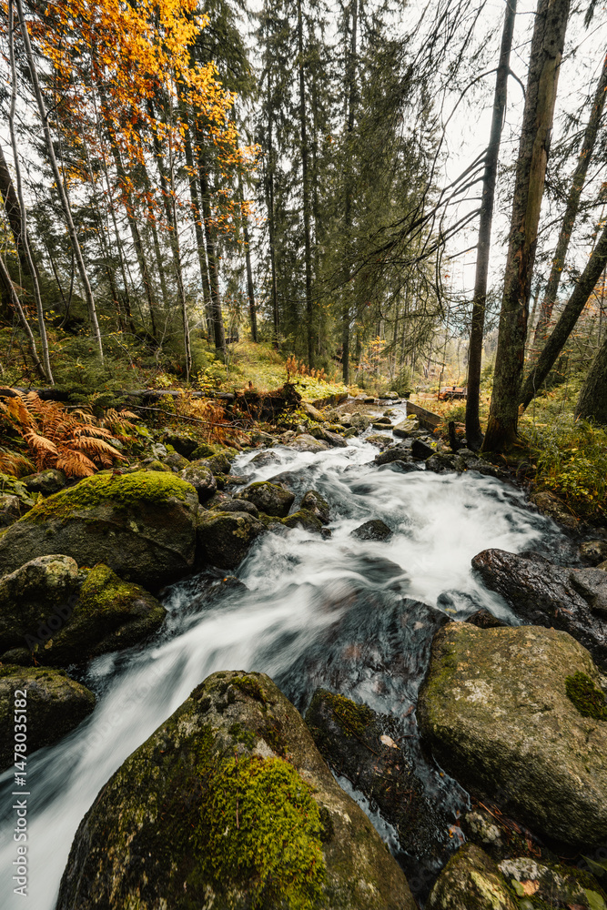 Liptov region hiking in jasna in Low Tatras mountains landscape, slovakia.