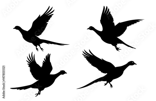 A Sat of a Pheasant silhouette, Flying pheasant silhouette, Pheasant SVG, Pheasant silhouette clip art with a white background