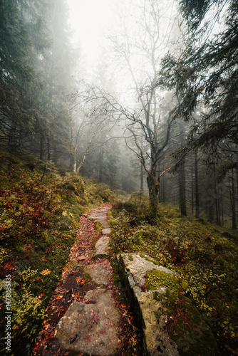 Obraz na płótnie Liptov region hiking in jasna in Low Tatras mountains landscape, slovakia. w salonie