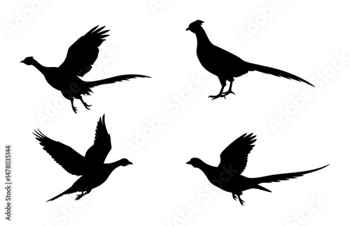 A Sat of a Pheasant silhouette, Flying pheasant silhouette, Pheasant SVG, Pheasant silhouette clip art with a white background