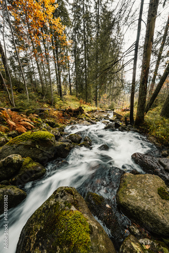 Liptov region hiking in jasna in Low Tatras mountains landscape, slovakia.