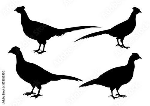 A Sat of a Pheasant silhouette, Flying pheasant silhouette, Pheasant SVG, Pheasant silhouette clip art with a white background