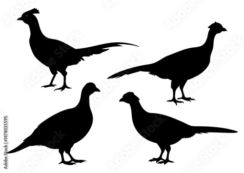 A Sat of a Pheasant silhouette, Flying pheasant silhouette, Pheasant SVG, Pheasant silhouette clip art with a white background