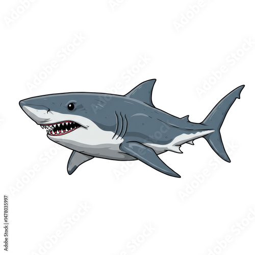 Shark icon isolated on transparent background., Shark Illustration 