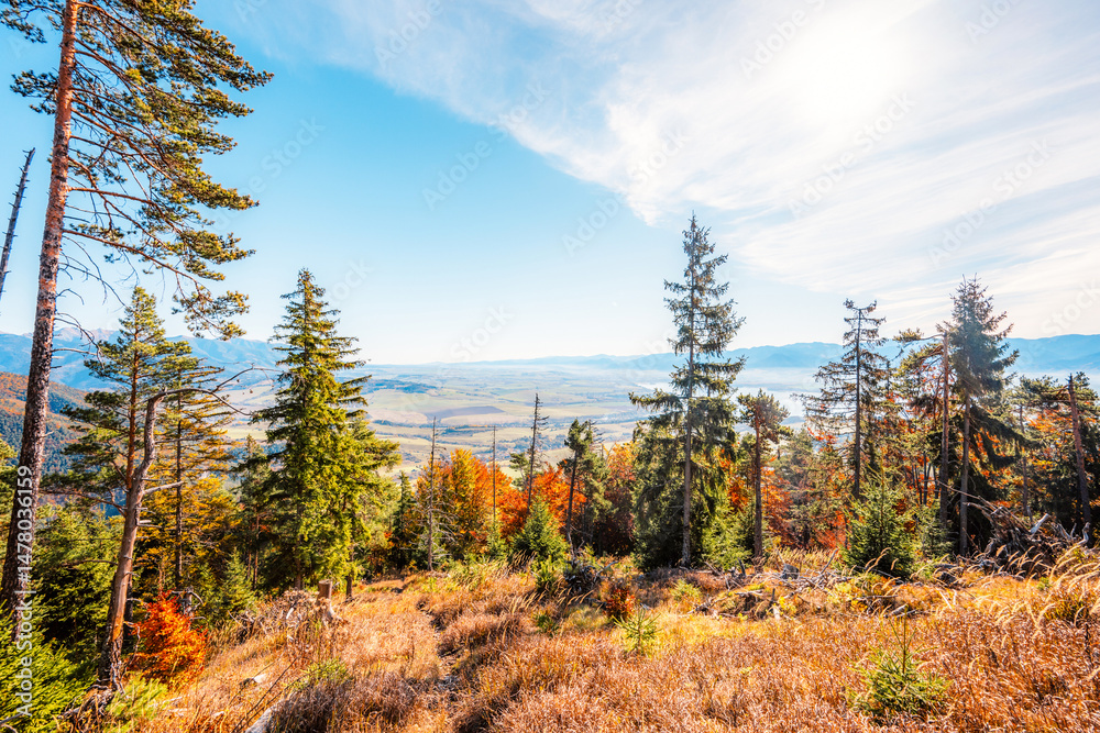 Liptov region Hiking in Tatras mountains to autumn cerenova rock view near Liptovsky Mikulas , slovakia.