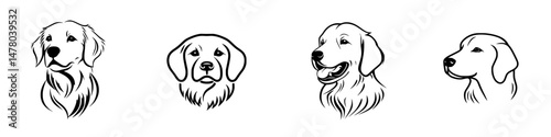 Vector illustration of different golden retriever dog heads showcasing various expressions and styles