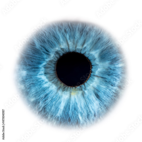 A macro view illustration shows the blue iris and pupil of a human eye, a design representing vision