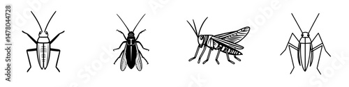 Vector illustration of various insect species showcasing their unique characteristics