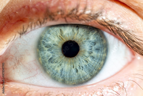Close-up of female eye with blue-green coloured closed iris. Structural and anatomical details of human eye. photo