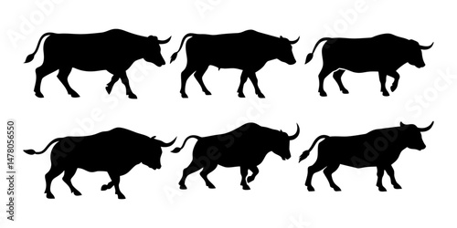 A set of different bull poses silhouettes. Farm animal. white background with Vector illustration.