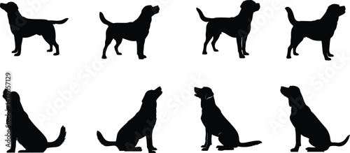 Black Dog Silhouettes in Standing and Sitting Poses