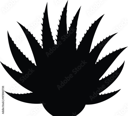 alovera vector silhouette 