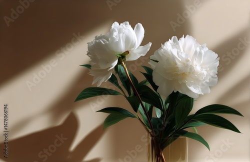 Beautiful White Peonies Elegantly Displayed in a Vase With Soft Shadow Highli...