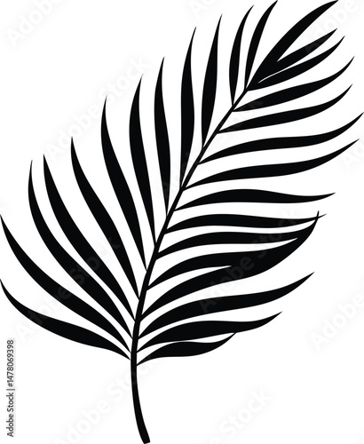 a palm tree leaf silhouette vector 