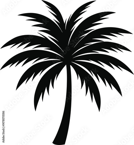 a palm tree leaf silhouette vector 