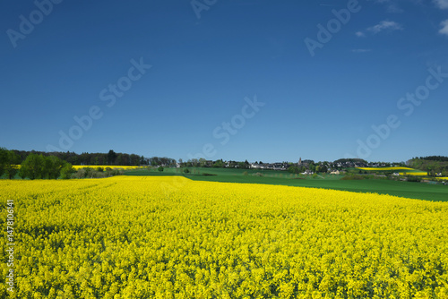 Landschaftsfoto von Mayen Kürrenberg in der Eifel in Rheinland-Pfalz und blühendes Rapsfeld und strahlend blauer Himmel - Stockfoto