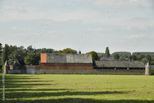 Chevaux dans une prairie aux environs de Bra à Lierneux (Verviers)