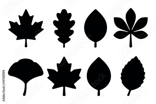 Silhouette illustrations of diverse leaf shapes on white background