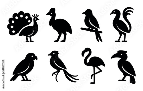 Silhouette illustrations of various exotic bird species collection