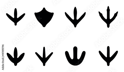 Silhouette of various animal footprints in black on white background