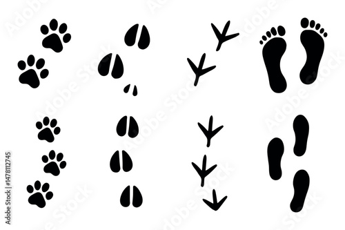 Animal and human footprints: dog, horse, bird, human tracks in black silhouette