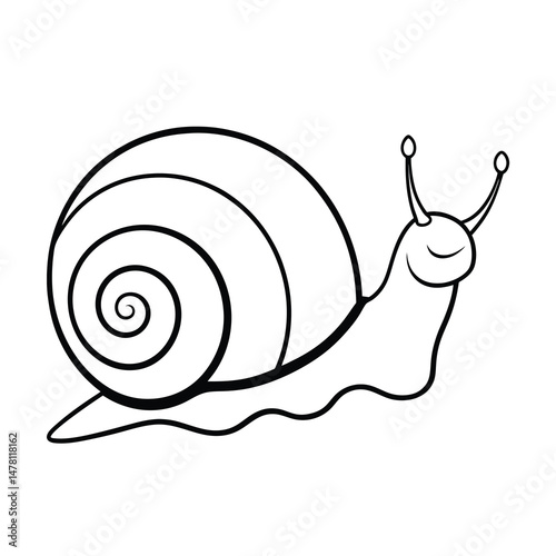 escargot outline vector illustration