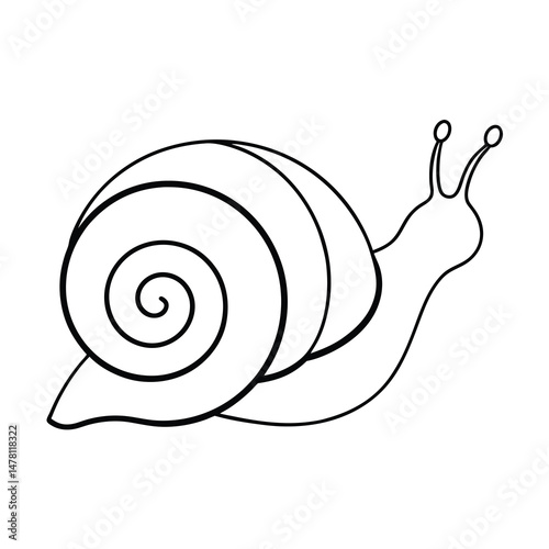 escargot outline vector illustration