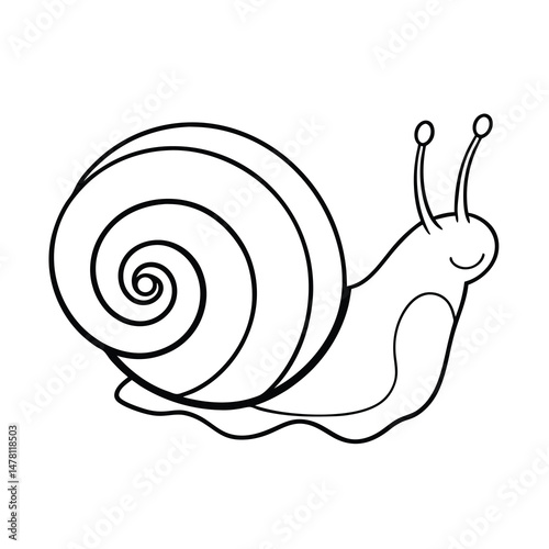 escargot outline vector illustration
