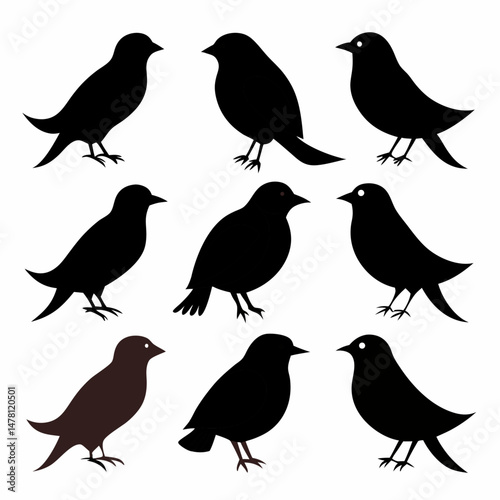 Birds silhouette set bundle vector design

