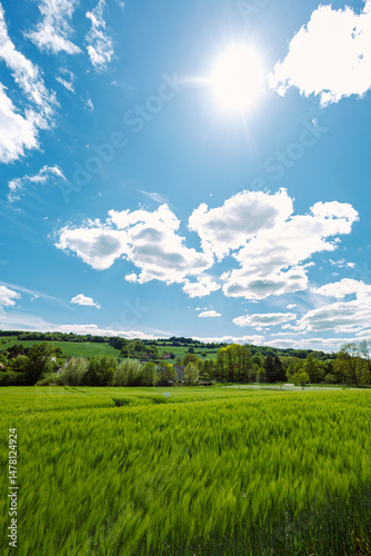 A Vibrant Green Prairie Under a Clear and Bright Blue Sky adorned with Fluffy White Clouds and Radiant Sunlight creating an idyllic and picturesque scene that invites exploration and relaxation