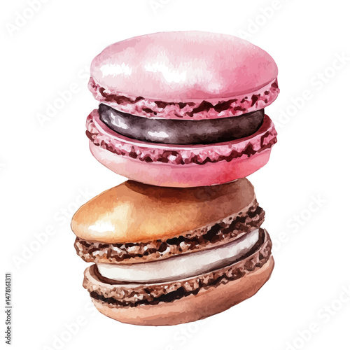 watercolor vector of Macaron Cookies, isolated on a white background.