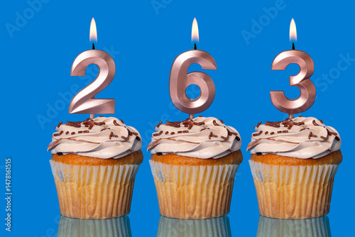 Birthday Cupcakes With Candles Lit Forming The Number 263.