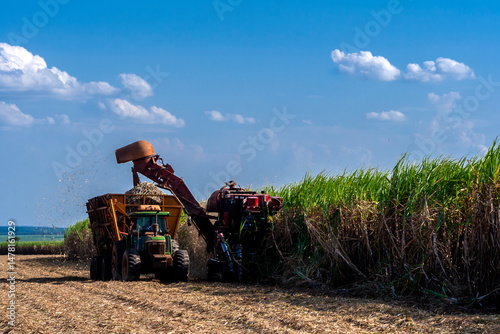 Wallpaper Mural Harvesting machine working in sugar cane field in Brazil Torontodigital.ca