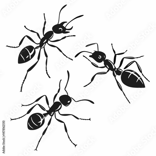 set of ants