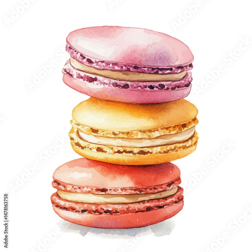 Macaron Cookies, watercolor vector, isolated on a white background.