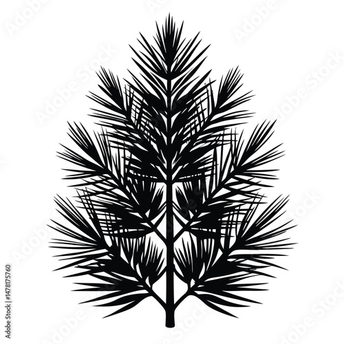 Elegant Silhouette of a Tropical Palm Tree with Sharp Leaves in Black