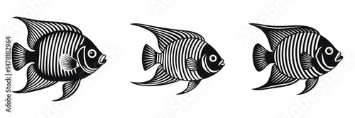 Stylish black and white vector graphic of three profile views of striped Angelfish.