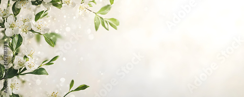 White spring flowers on blurred background with copy space. Flat lay floral border with cherry blossoms. Template for greeting card, poster. Easter, Women's Day, Mother's Day or wedding banner concept