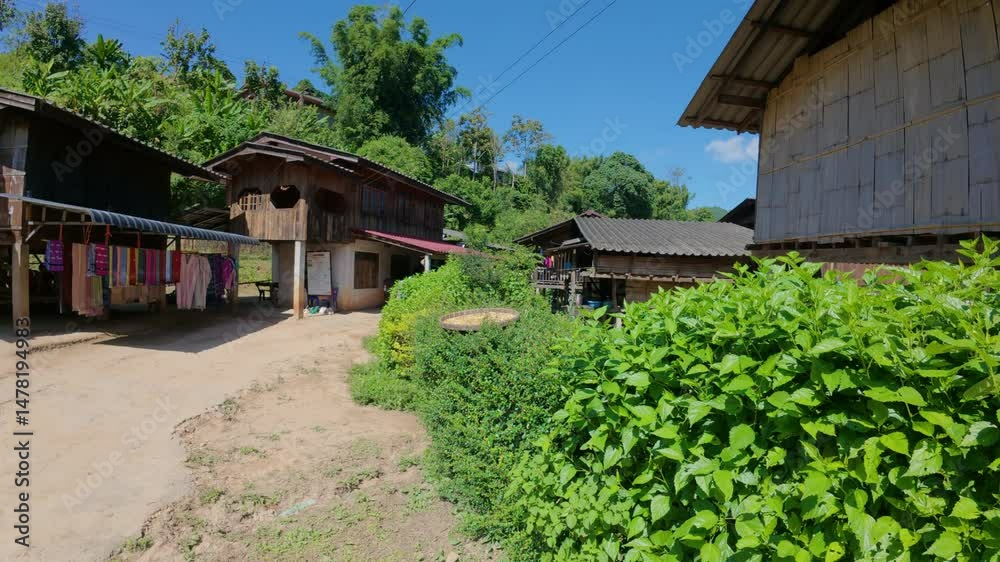 Traditional wooden stilt houses with hanging fabrics in a rural Chiang Mai village landscape.
Traditional wooden stilt houses with hanging fabrics in a rural Chiang Mai village landscape.