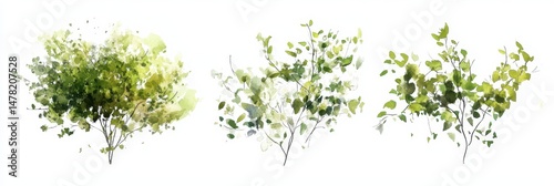 Elevated View of Isolated Green Tree in Watercolor Style for Landscape and Architecture Inspiration