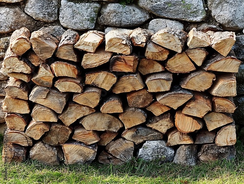 Stacked firewood against stone wall