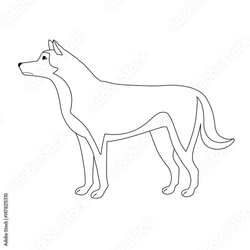 Vector flat hand drawn outline husky dog isolated on white background