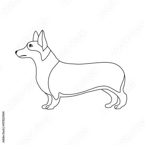 Vector flat hand drawn outline corgi dog isolated on white background