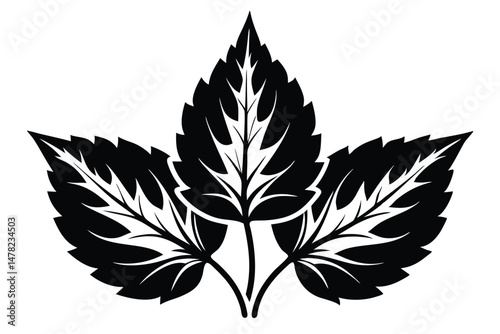 Stylized Vector Graphic of Three Black Leaves with Prominent Veins and Serrated Edges