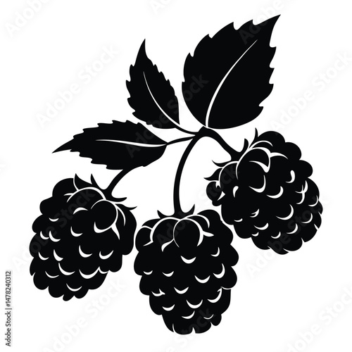 Elegant Black Silhouette of Raspberries with Leaves Vector Illustration for Design Projects