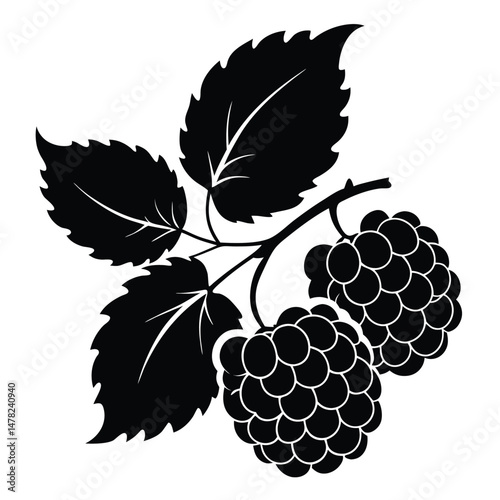 Stylized Vector Silhouette Two Raspberries with Leaves, Food Graphic Illustration Art
