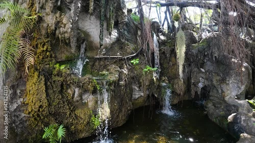 Mossy rocks with small waterfalls and roots near Karen tribe village in Chiang Mai, Thailand.
