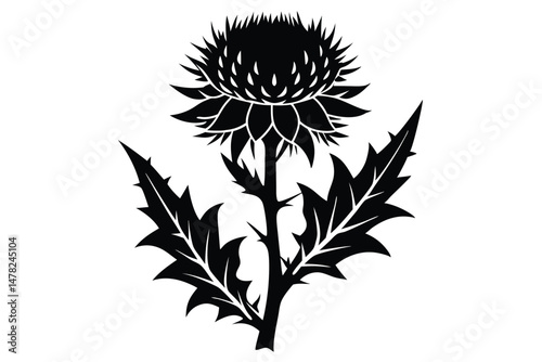 Stylized Black Thistle Illustration Sharp Spines, Intricate Floral Design, Botanical Art