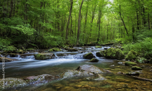 A serene scene of a stream meandering through a dense and lush green forest